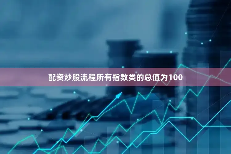 配资炒股流程所有指数类的总值为100