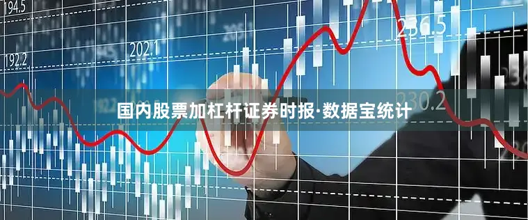 国内股票加杠杆证券时报·数据宝统计
