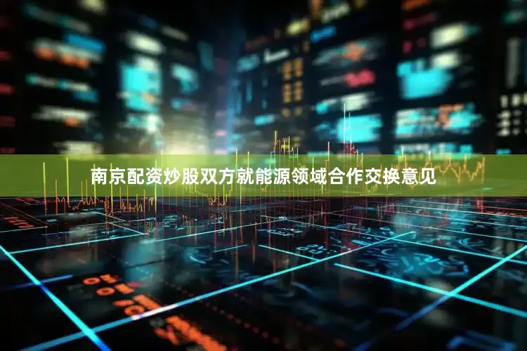 南京配资炒股双方就能源领域合作交换意见