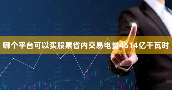 哪个平台可以买股票省内交易电量4614亿千瓦时